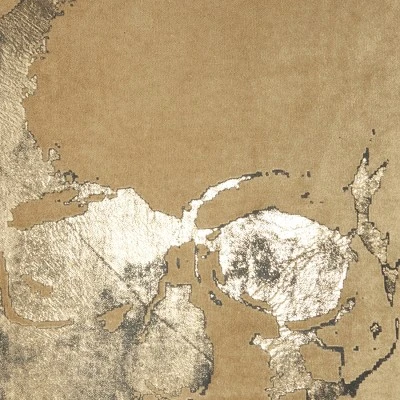 Mina Victory Luminecence Metallic Skull Pillow 5 Mina Victory Luminecence Metallic Skull Pillow - Image 3